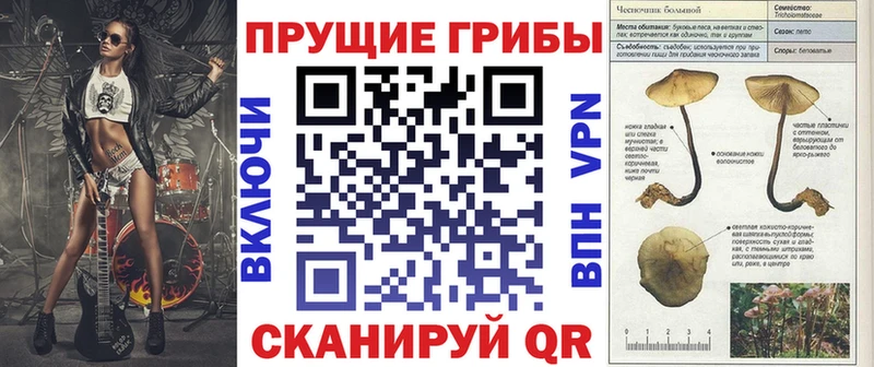 Псилоцибиновые грибы MAGIC MUSHROOMS  где купить наркоту  Краснозаводск 